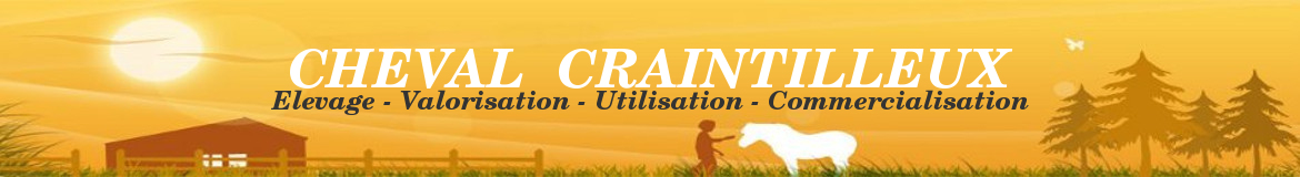 CHEVAL CRAINTILLEUX